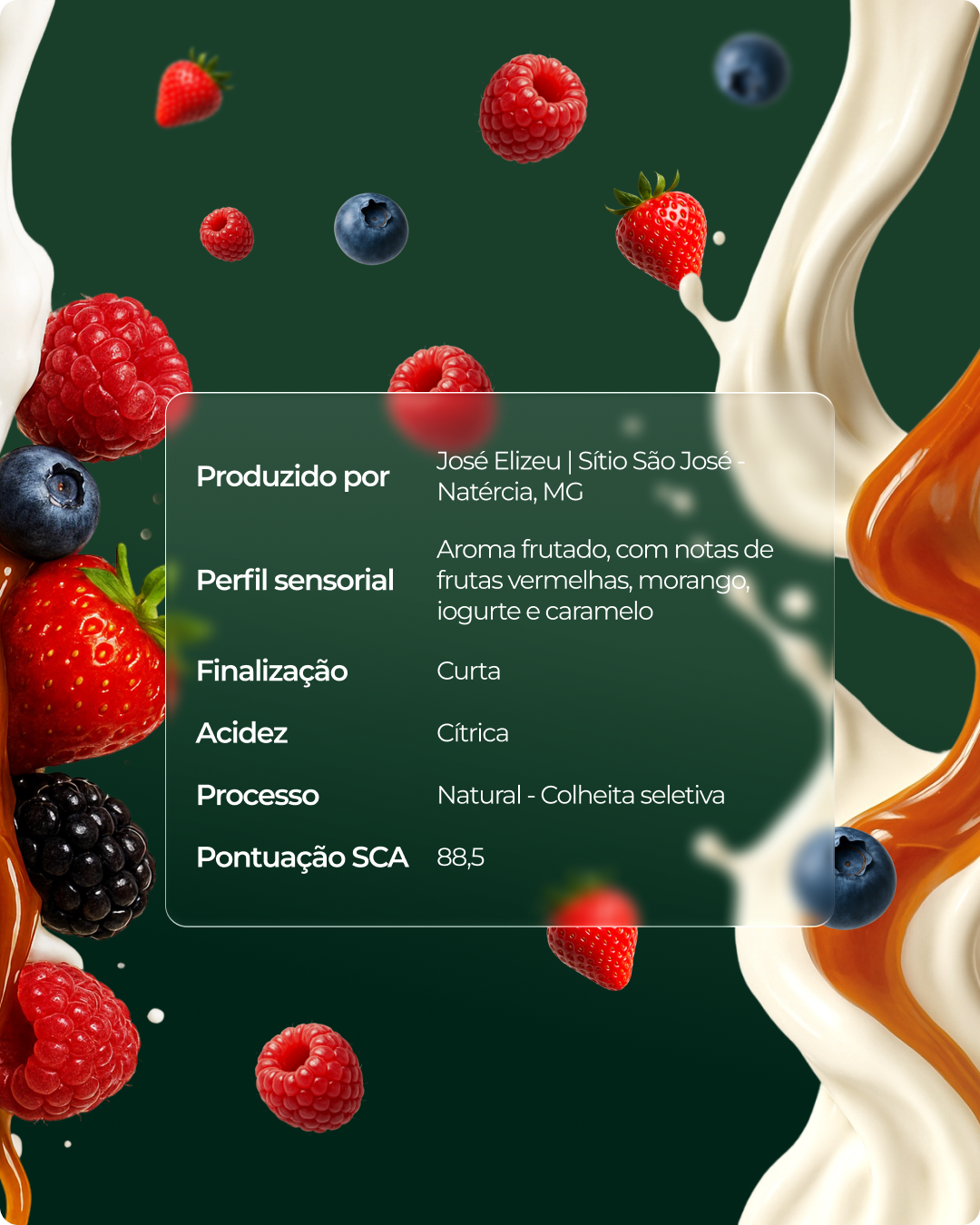 Café Arara