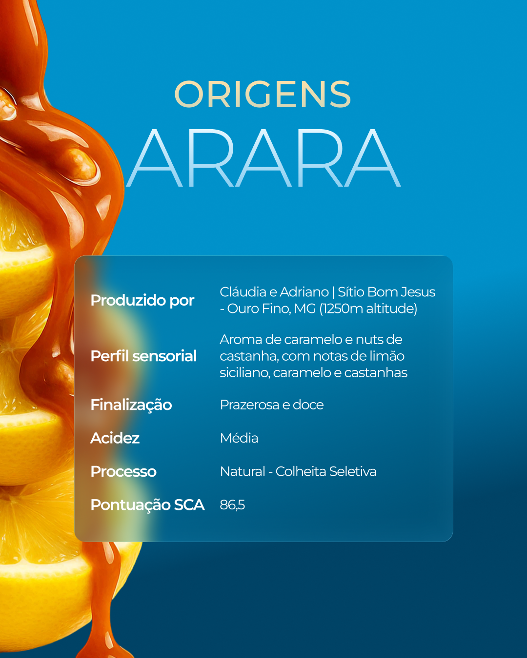 Kit Arara 250g + Xícara