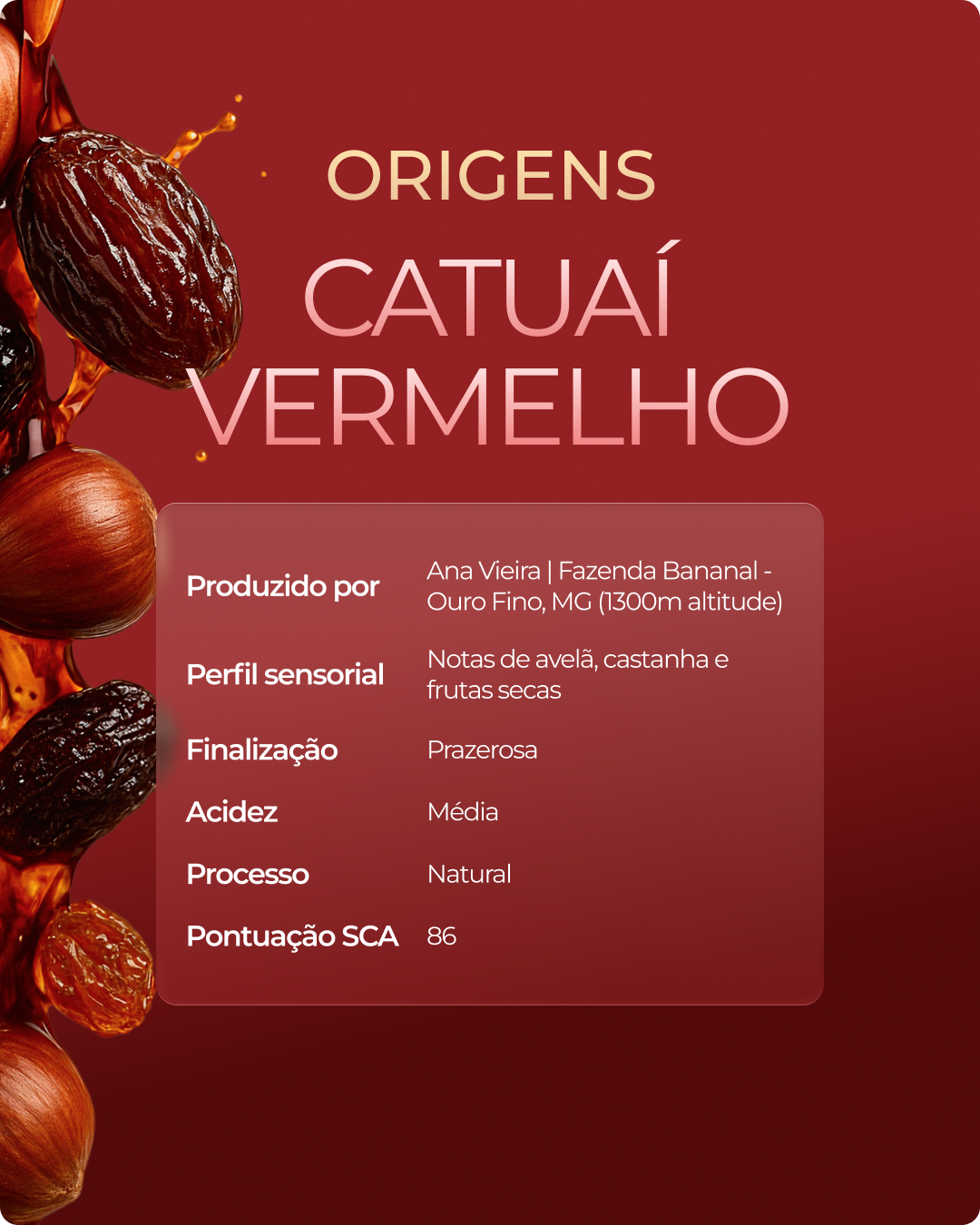 Kit Catuaí Amarelo + Catuaí Vermelho + 2 Xícaras