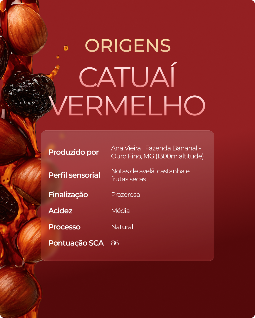 Kit 3 Origens - Arara + Catucaí + Catuaí Vermelho 250g