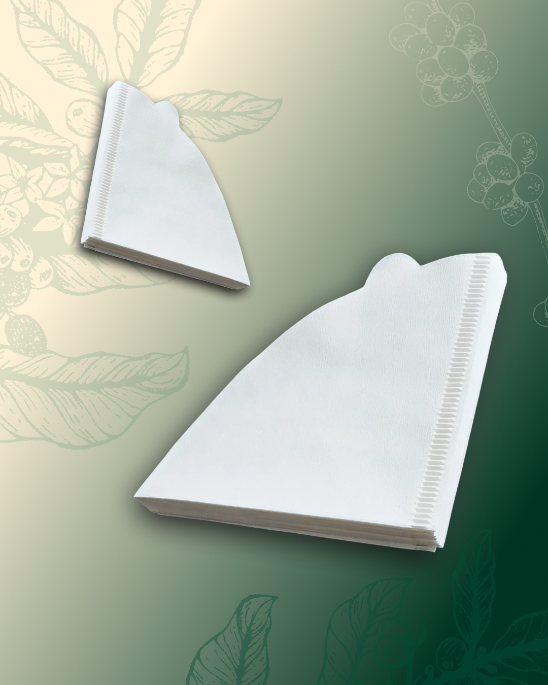 Filtro branco para V60 02