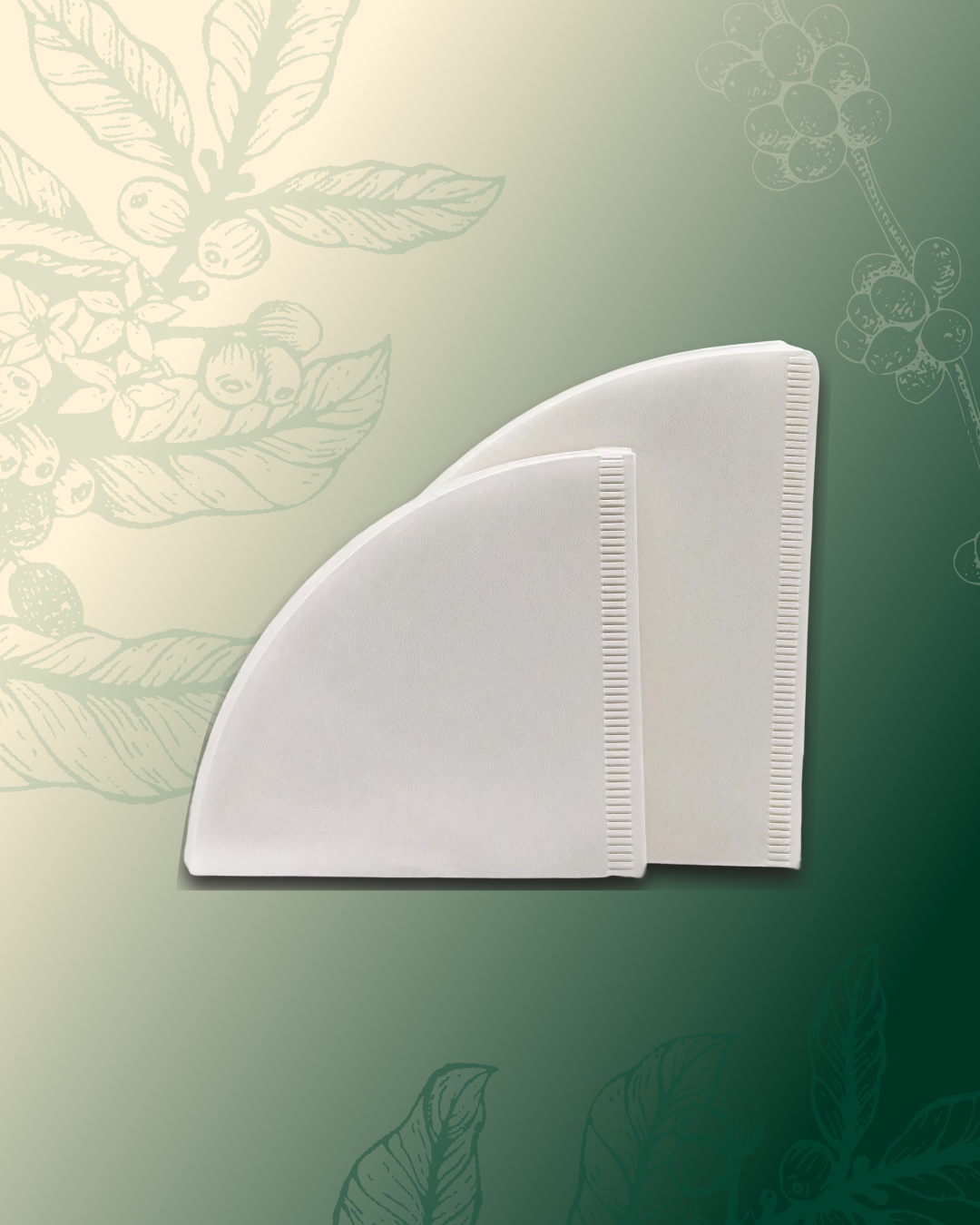 Filtro branco para V60 02