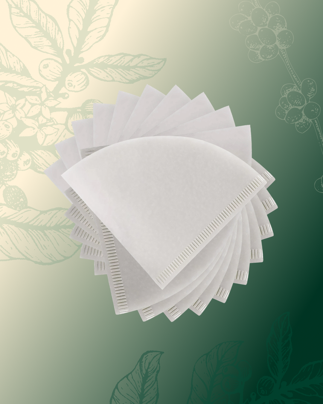 Filtro branco para V60 02