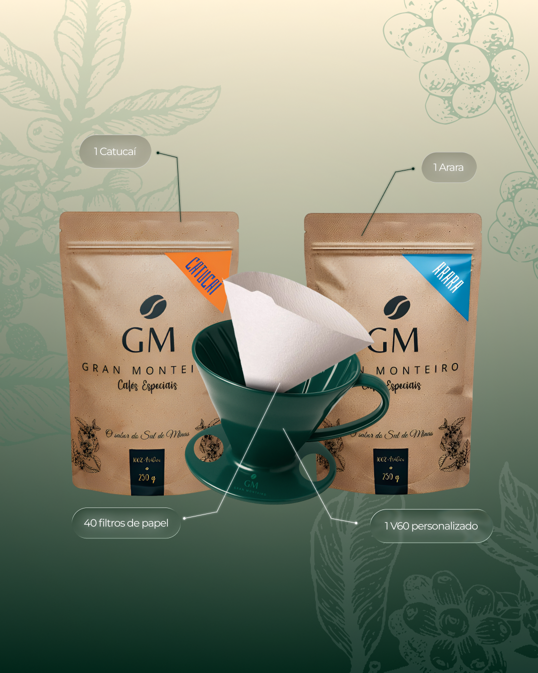 Kit V60 - 2 Origens 250g + 1 V60 Personalizado + 40 filtros de papel 02