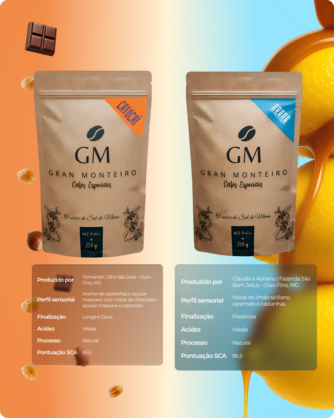 Kit V60 - 1 Arara 250g + 1 Catucaí 250g + 1 V60 Personalizado + 40 filtros de papel 02 + Jarra de vidro com tampa 600ml + Balança de precisão digital