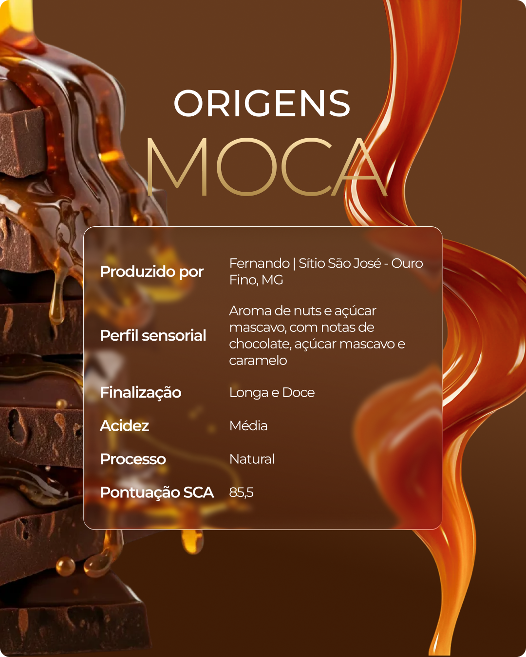 Kit 1 House Blend Gourmet 1Kg em grãos + 1 Moca 250g + 1 Arara 250g