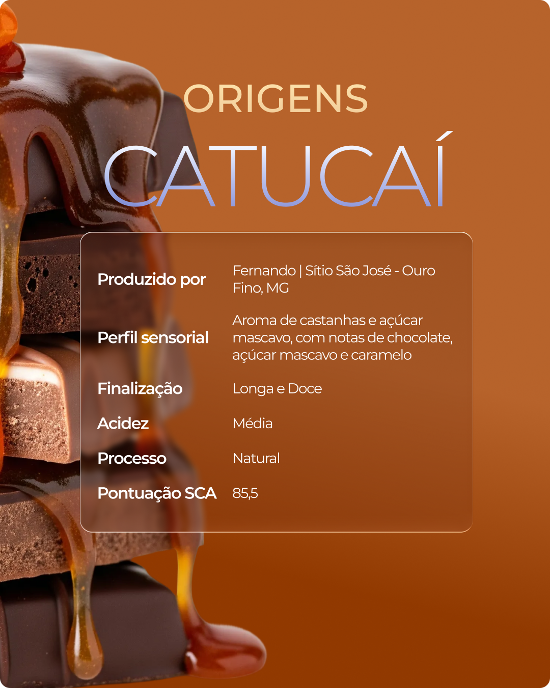 Kit V60 - 2 Origens 250g + 1 V60 Personalizado + 40 filtros de papel 02