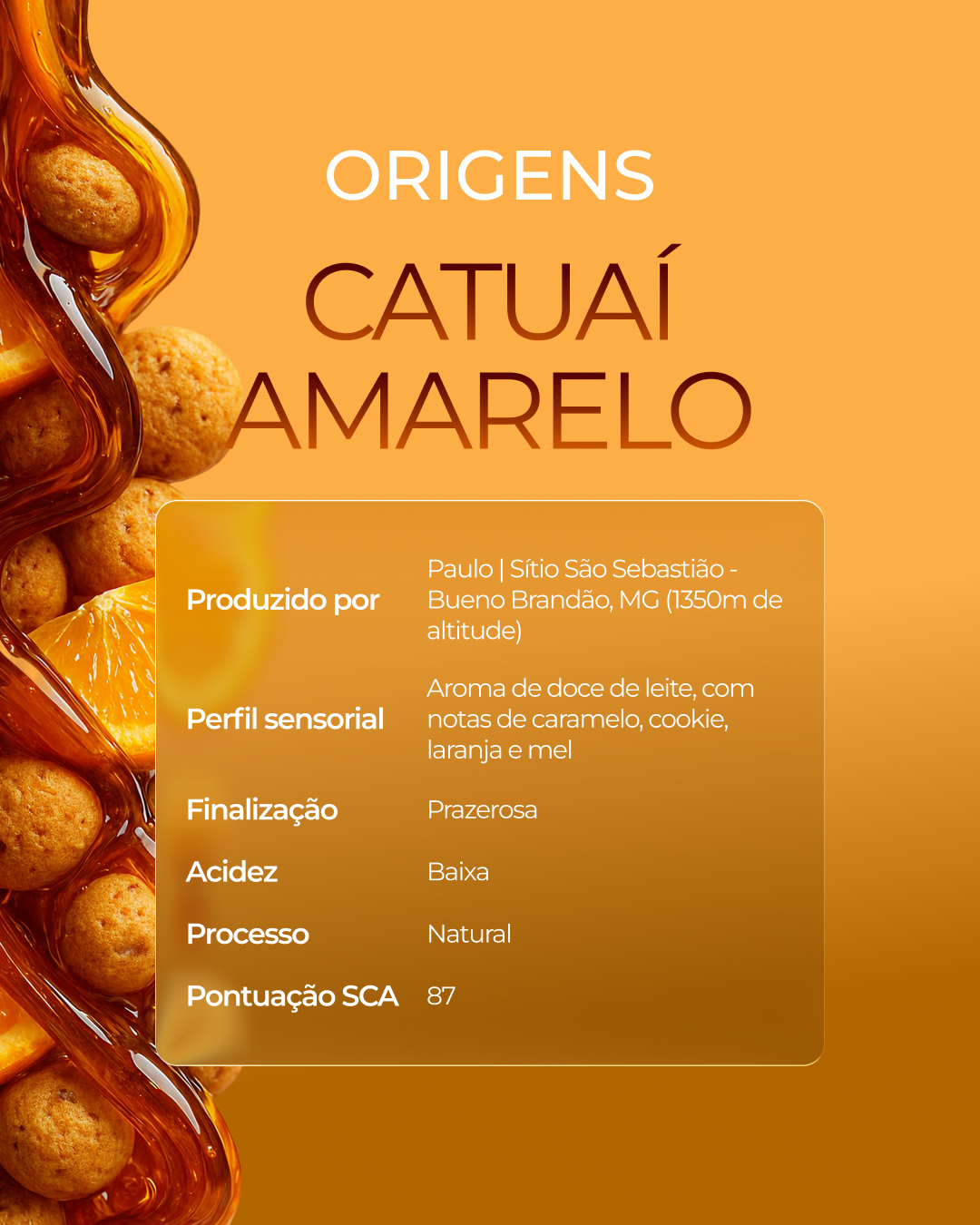 Kit Catuaí Amarelo + Catuaí Vermelho + 2 Xícaras