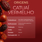 Kit 3 Origens - Arara + Catucaí + Catuaí Vermelho 250g