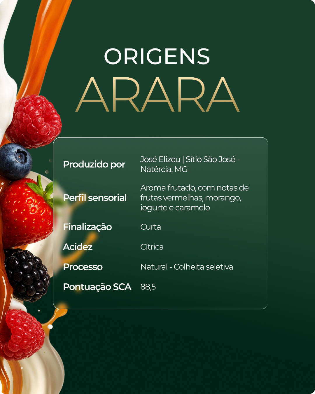 Kit 1 House Blend Gourmet 1Kg em grãos + 1 Moca 250g + 1 Arara 250g