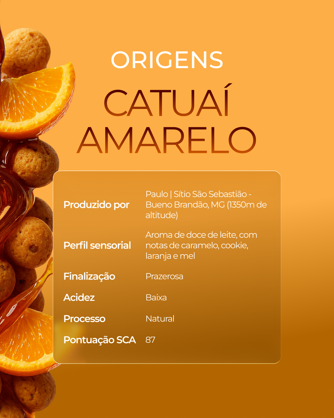 Kit 3 Origens - Moca + Catuaí Amarelo + Arara 250g