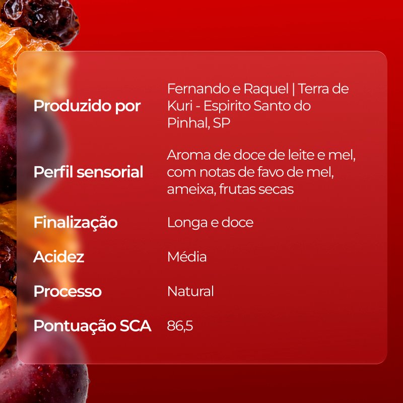 Café Catuaí Vermelho - Imagem 2